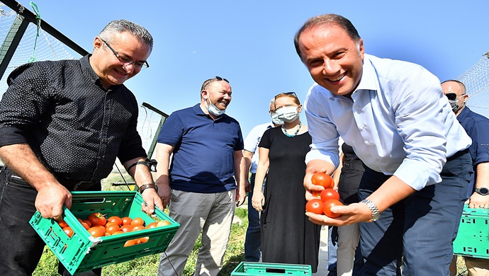 BAŞKAN ÇALIK YAŞAM BAHÇESİ’NDE HASADA KATILDI