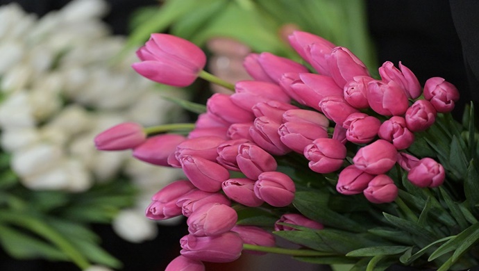 «Единая Россия»: В жизни на женщинах держится очень многое — согласие и покой в семьях, успехи производственных коллективов, решение сложных задач